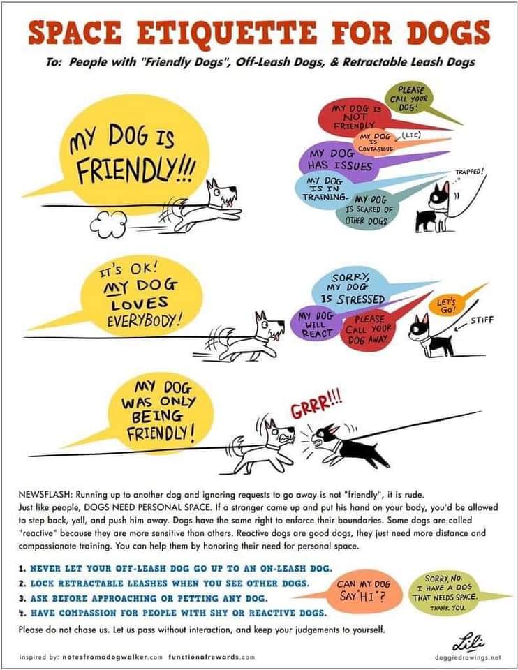 a quick dog leash etiquette lesson